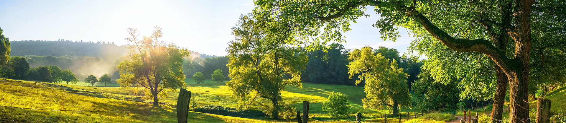 Limestone Behavioral Health